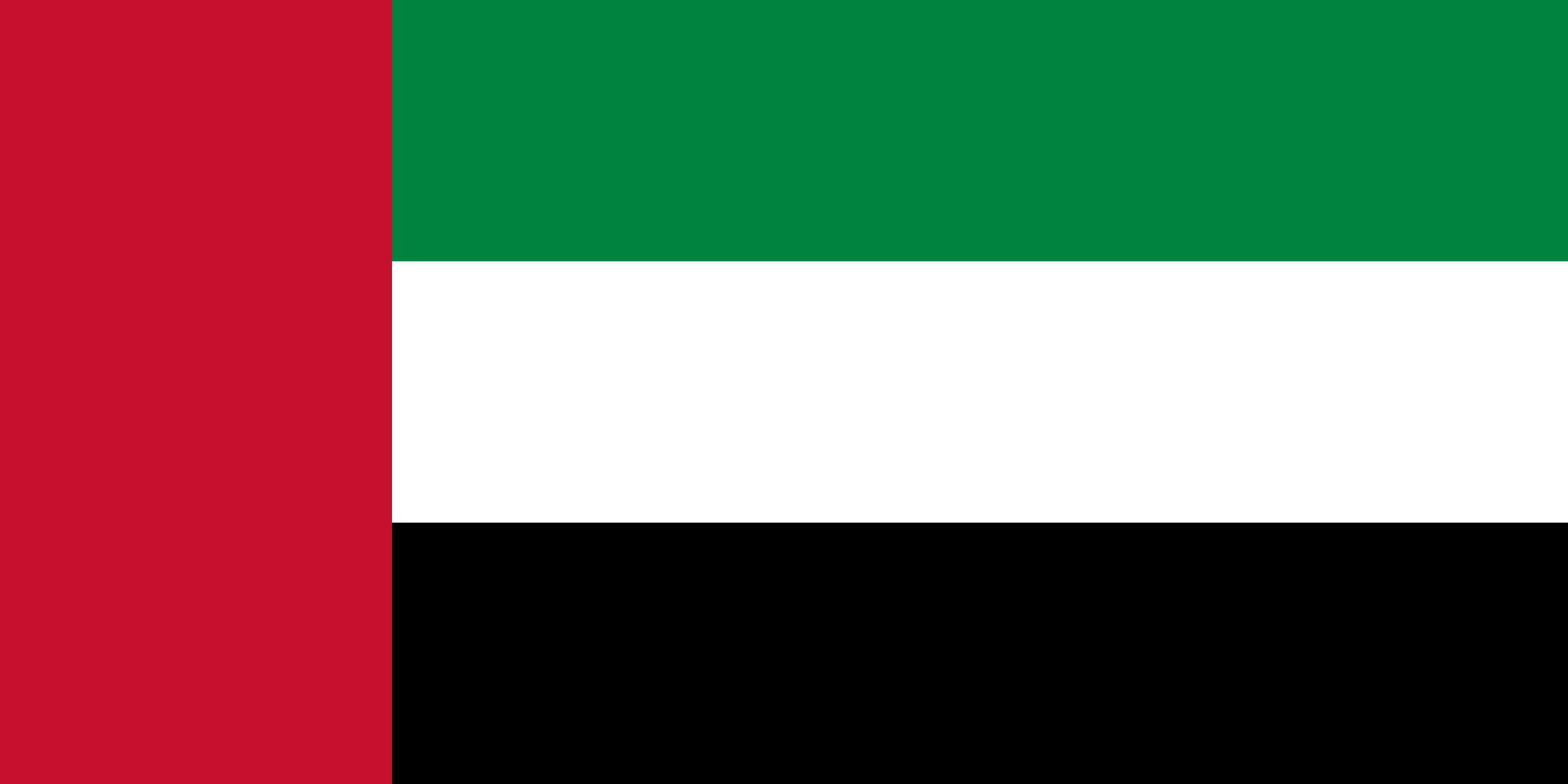 الامارات العربية المتحدة flag