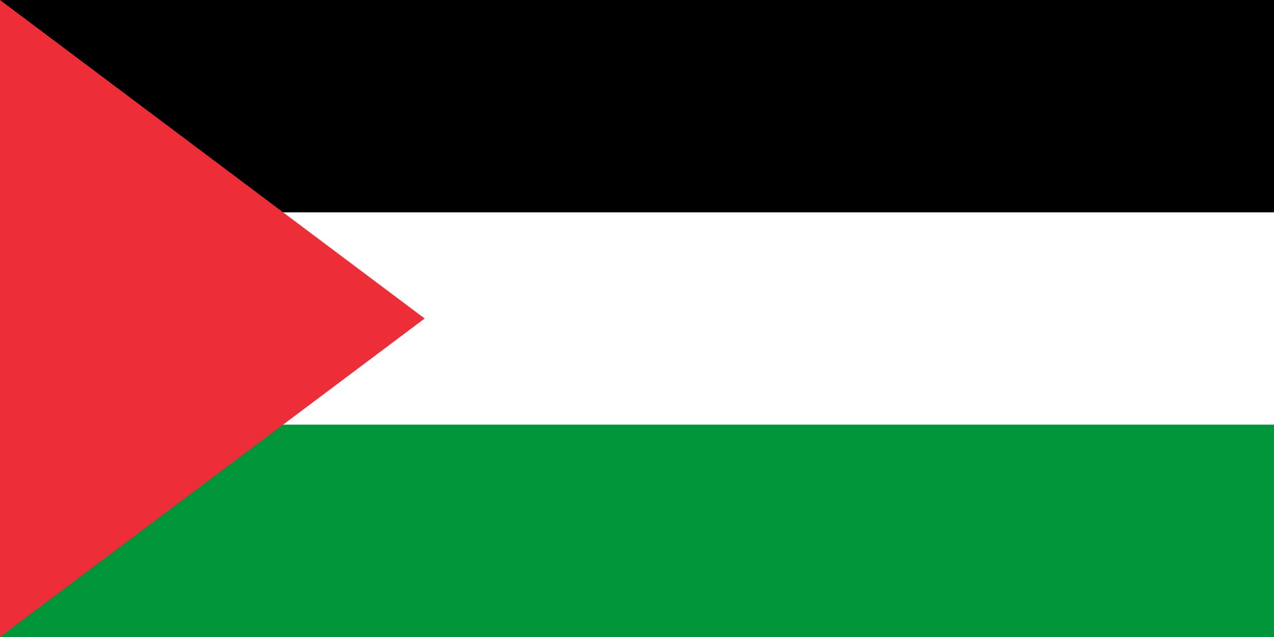 فلسطين flag