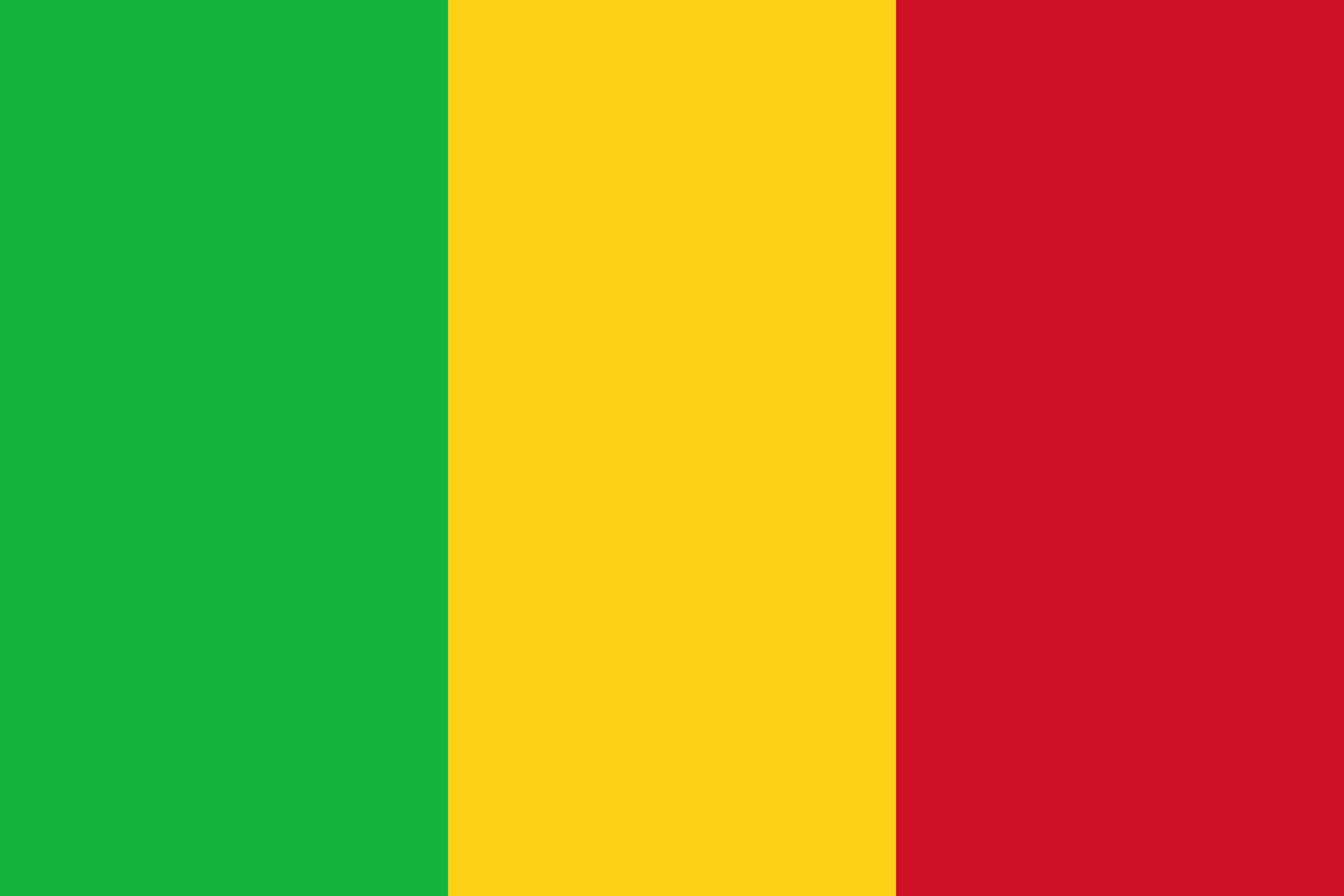 مالي flag