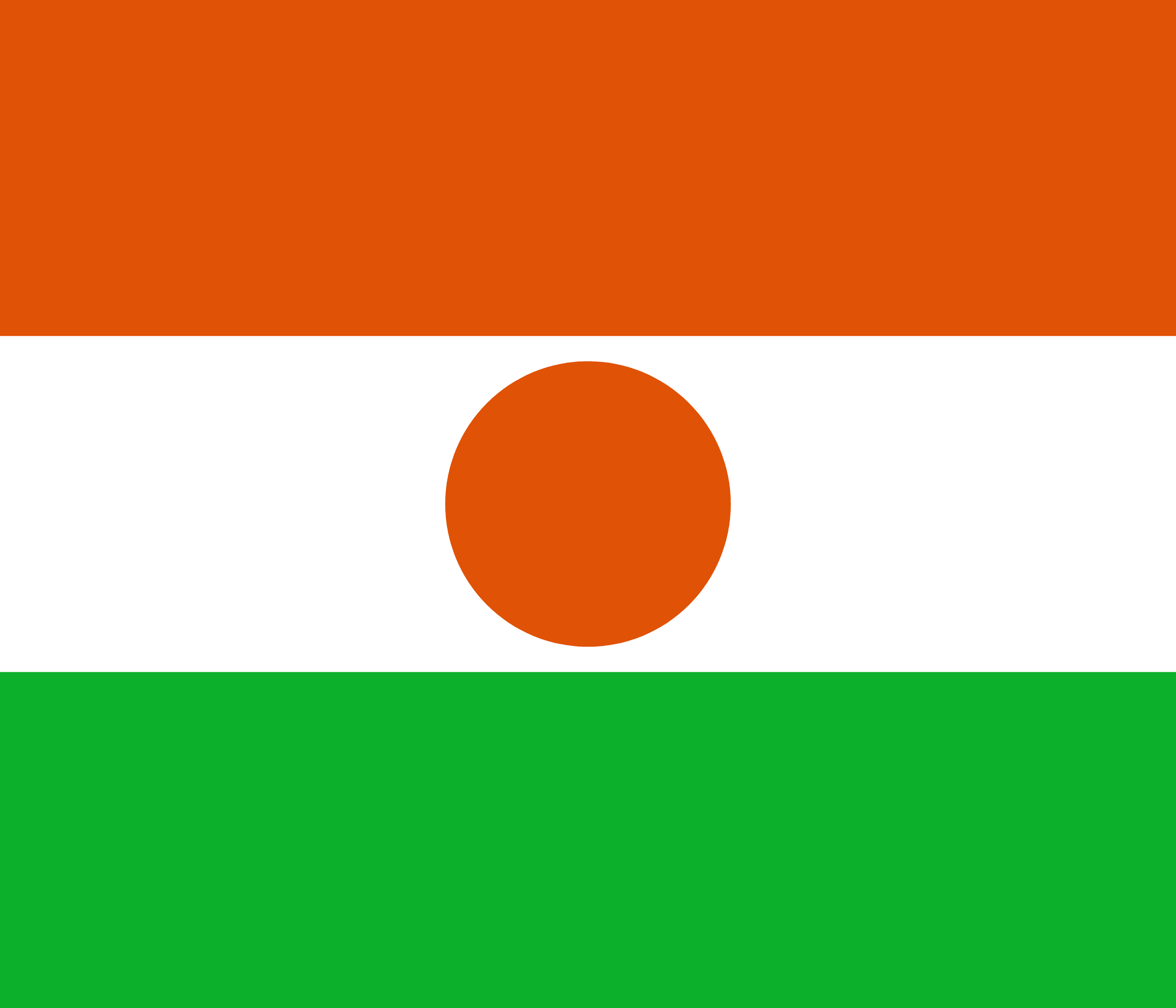 النيجر flag