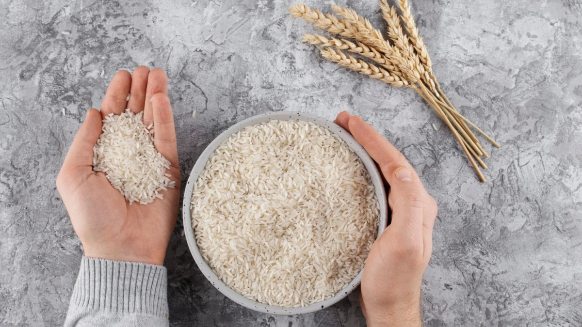 استقرار أسعار الأرز والدّقيق في محافظتي الغربية والشّرقية بدعم من وفرة المعروض وتواصل الرّقابة